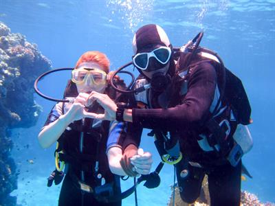 Diving Tour