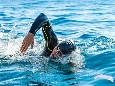 Daily Sports Swimming Tours